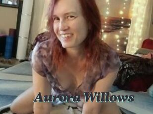 Aurora_Willows