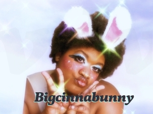 Bigcinnabunny