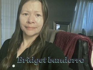 Bridget_banderro