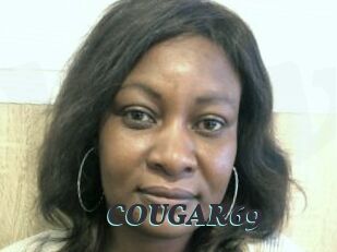 COUGAR69