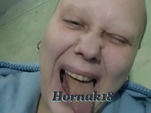 Hornak18