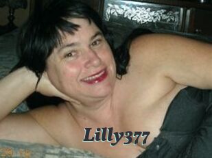 Lilly377