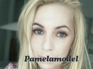 Pamelamodel