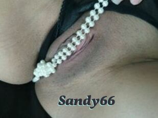 Sandy66