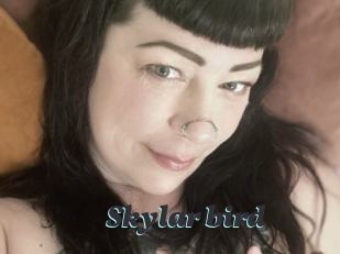 Skylar_bird