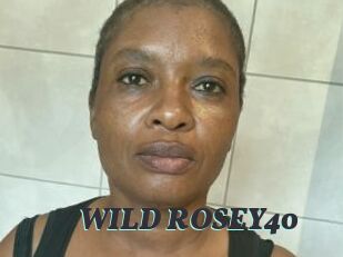 WILD_ROSEY40