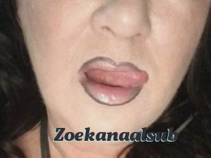 Zoekanaalsub